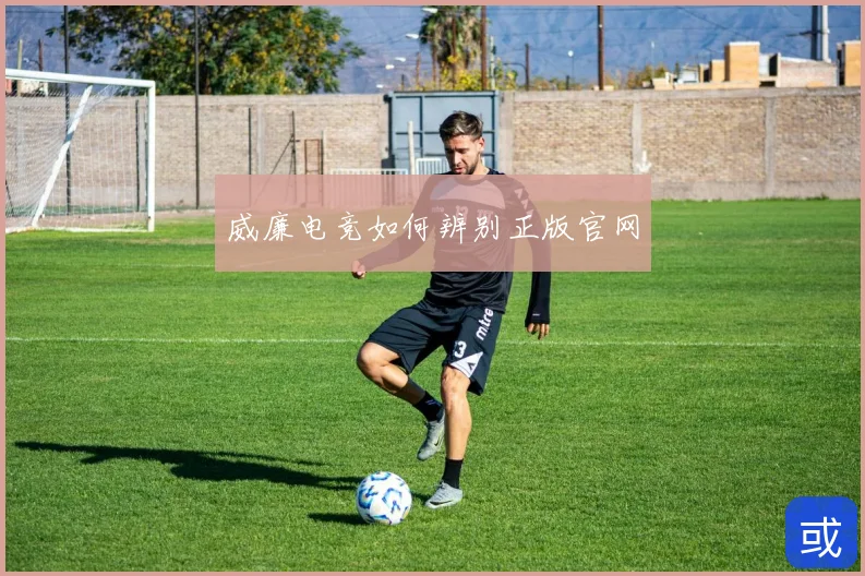 威廉电竞如何辨别正版官网